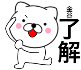 25422237