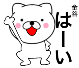 25422238