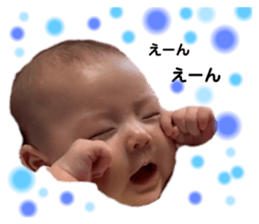 254267656