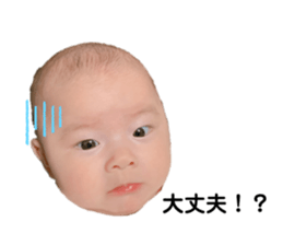 254267667