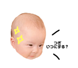 254267675