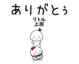 254290144