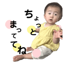 254305665