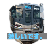 254307056