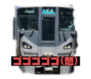 254307057