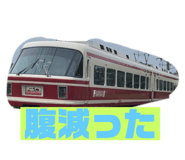254307061