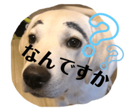 254309556