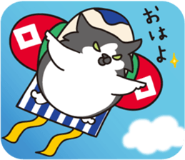 25441232