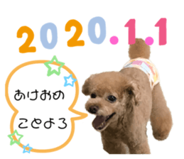 254413195