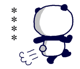 254426721