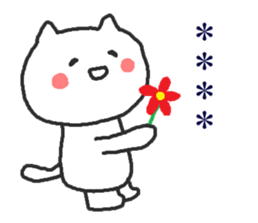 254428262