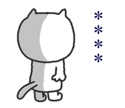 254428269