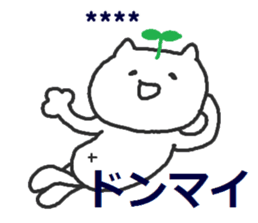 254428275