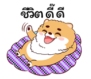 254446573