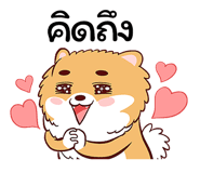 254446574