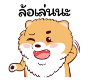 254446577