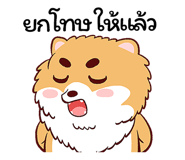 254446579