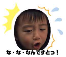 254446982