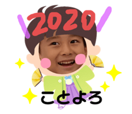 254446994