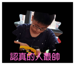 254456646