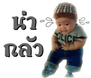 25446909