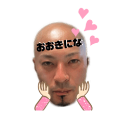 254472080