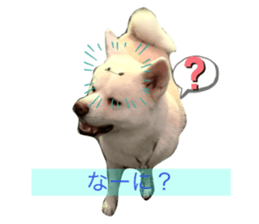 254479633