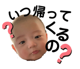 254493328