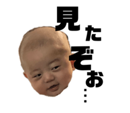 254493340