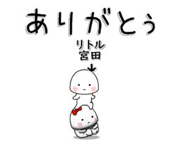254502848
