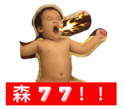 25455910