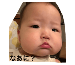 254586640