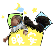 25460362
