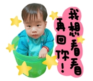 25460366
