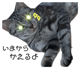 254658030