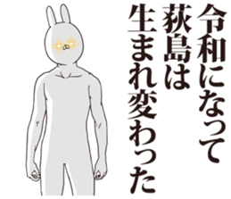 254764428