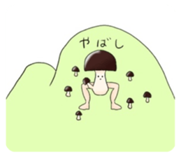 254785456