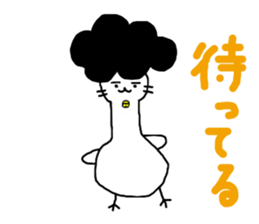 2548427