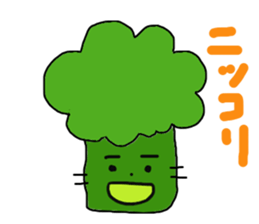 2548434