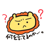 25495533