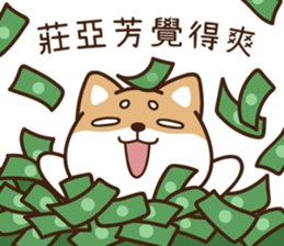 255002527