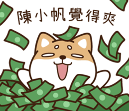 255003503