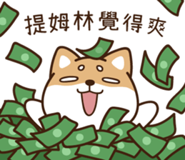 255007215