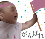 255020876