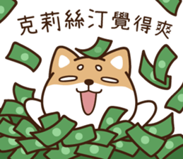 255023639