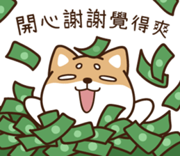 255046255