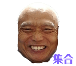 255051904