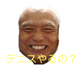 255051906