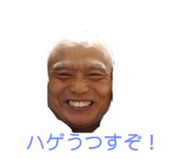 255051907