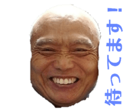 255051908